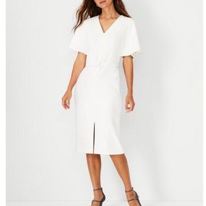 NWT Ann Taylor Flutter Sleeve Belted Sheath Dress